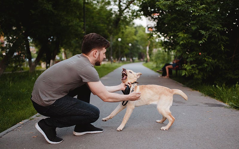 David and Associates Injury Attorneys in Wilmington NC